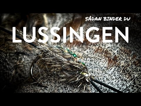 Indlæs video: