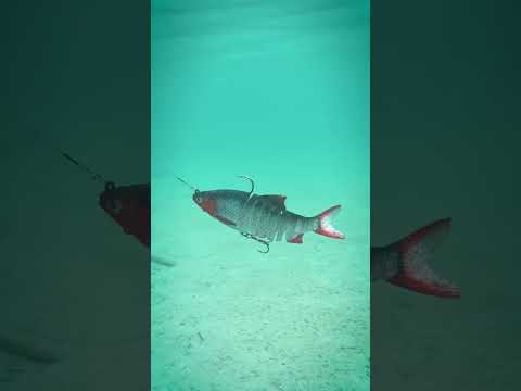 Indlæs video: