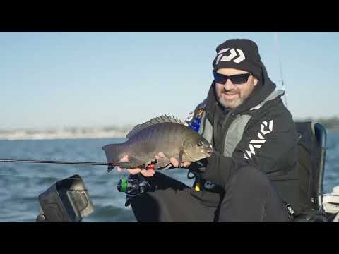 Indlæs video: