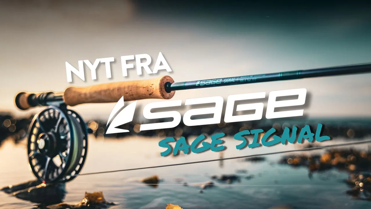 Sage Signal – Nordic Anglers præsenterer den nye kyststang fra Sage