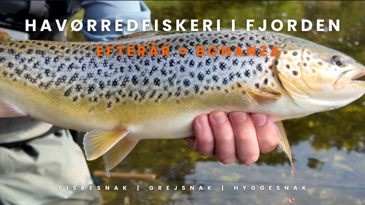 Torsdagsturen: Fluefiskeri i den stille fjord
