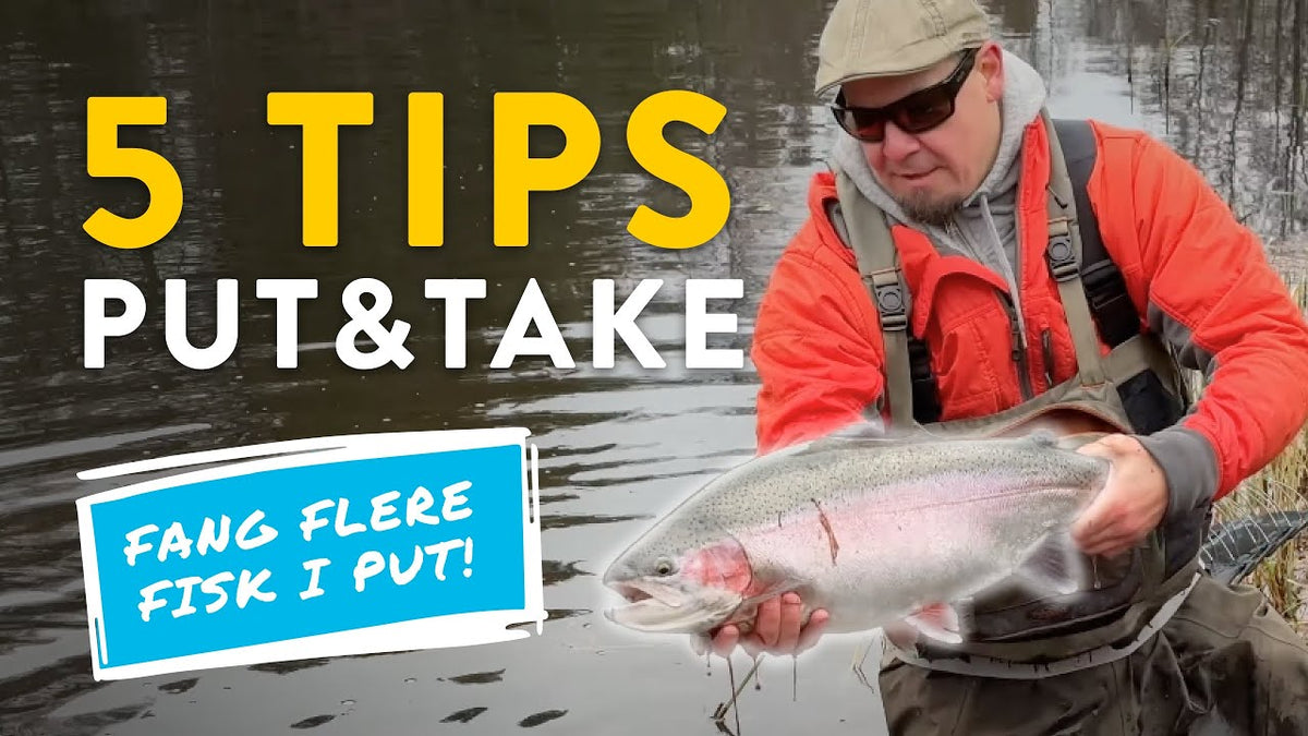 Fiskeguides: Sådan griber du fluefiskeri i put-and-take an