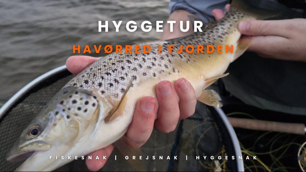 Torsdagsturen: Hyggetur i fjorden med fluegrej