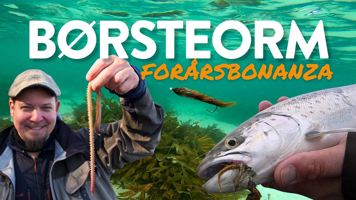Fiskeguides: Børsteormsfluer til havørred om foråret