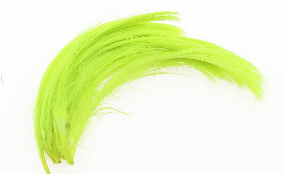 Burnt spey hackle