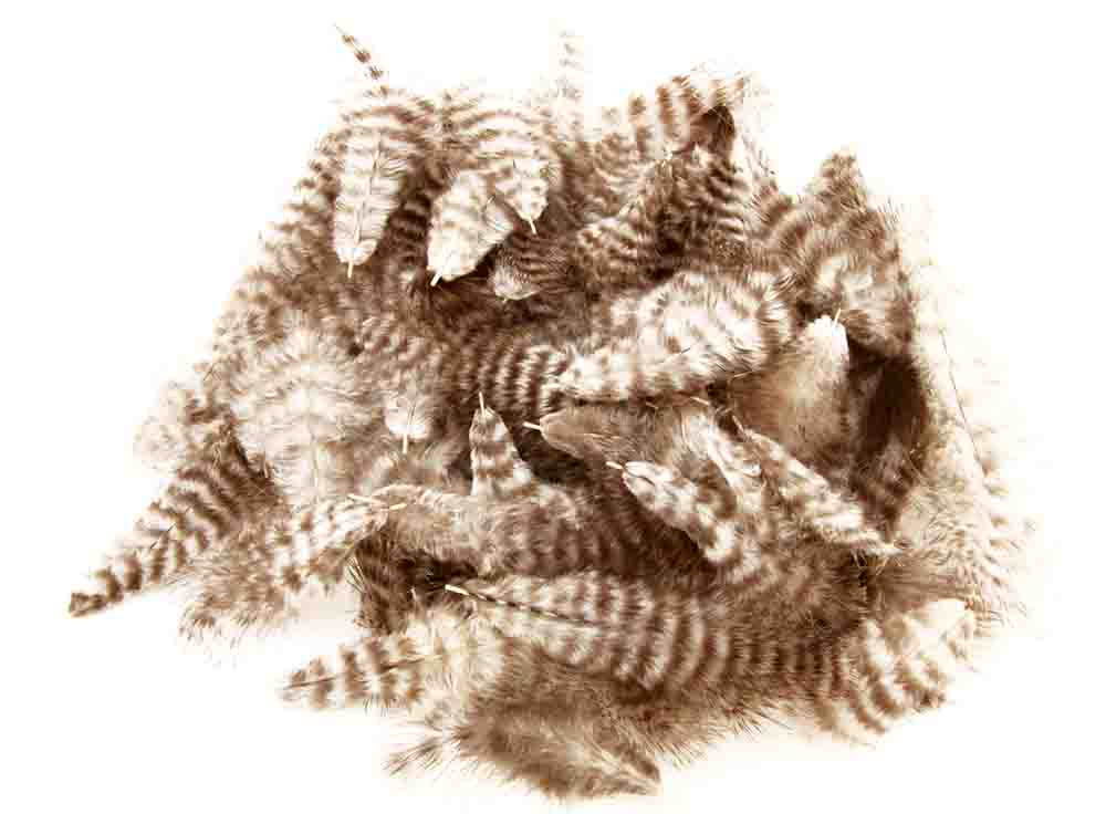 Grizzly Marabou