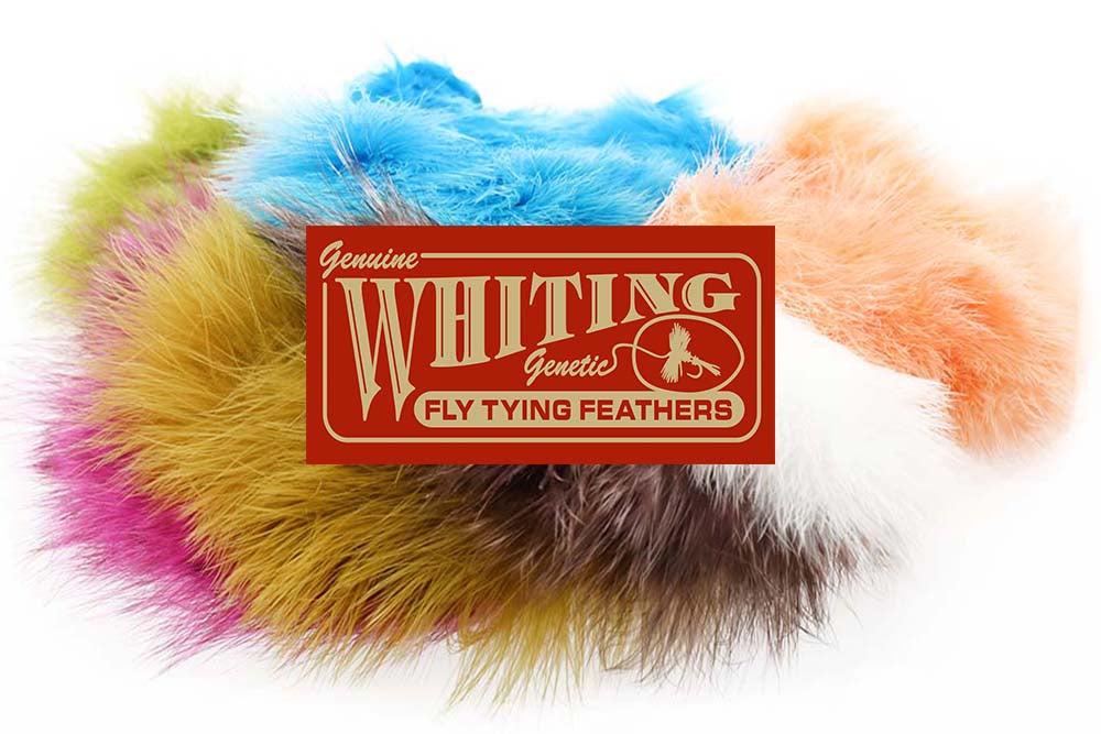 Whiting Super Bou