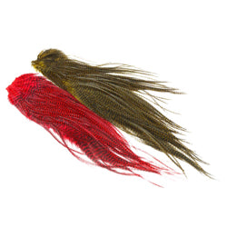 Predator/flatwing sadler