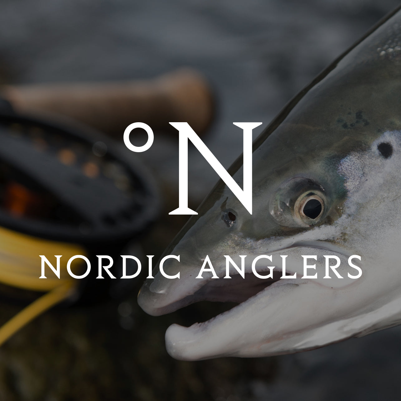 Udsalg fiskegrej