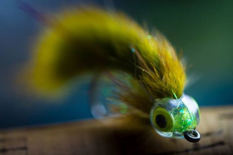 Chartreuse Zonker