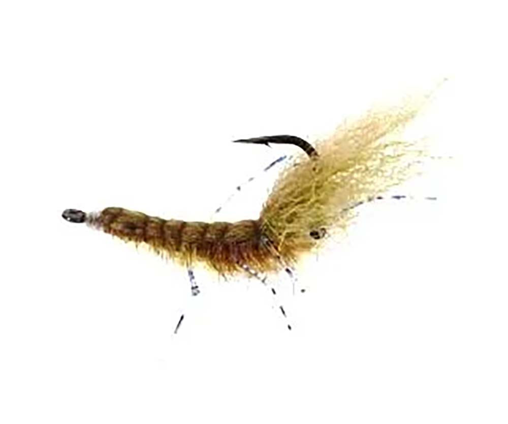 Honey Shrimp Uv - 4