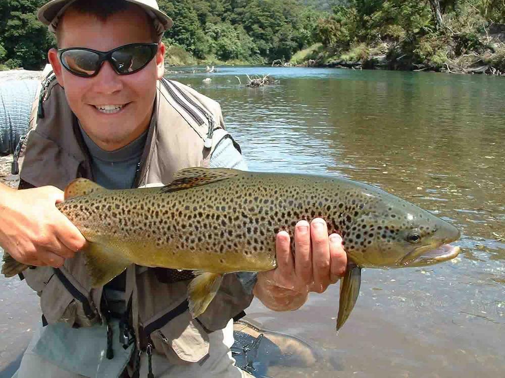(Pro Grade) Whiting Red Label Dryfly - Light Ginger