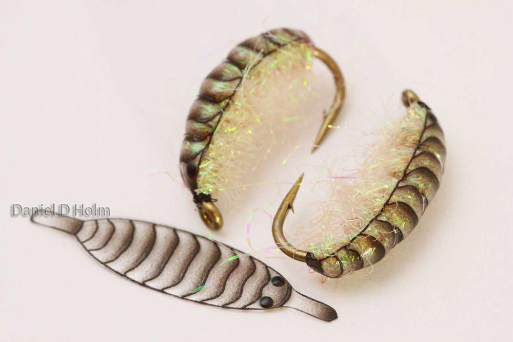 Pro Gammarus skjold - Shell Pink