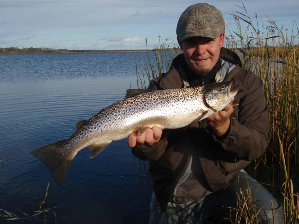 SLF Squirrel - Brown