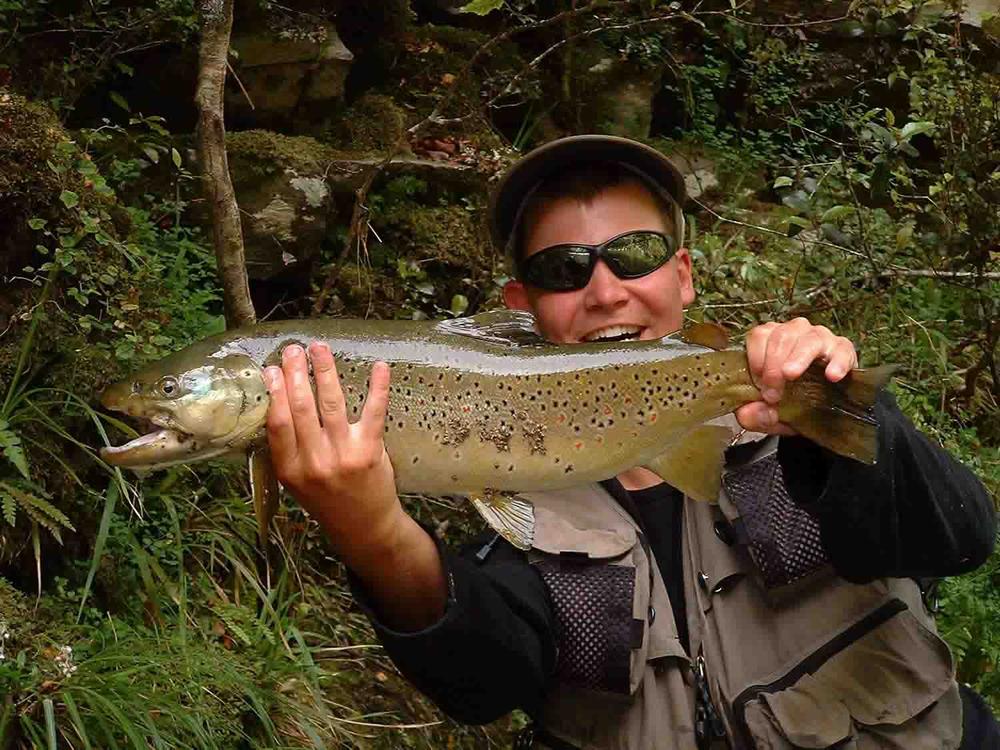 Fly-Rite - Dark Olive (Nr 3)
