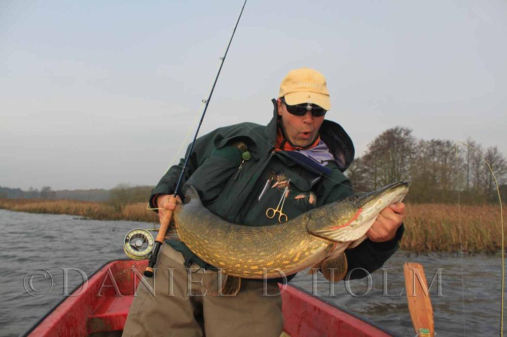 AHREX PR350 Hooks - Light Predator S/E 