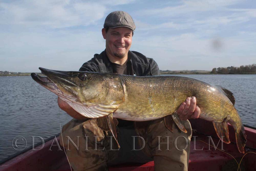 Big Fly Fiber Curls - Lt. Blue