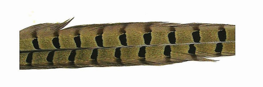 Du tilføjede <b><u>Pheasant Tail Feather - Natural</u></b> til kurven.