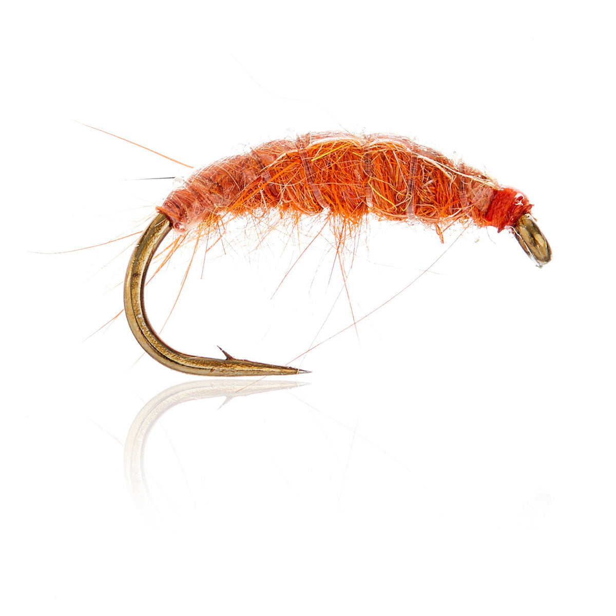 A.Jensen NYMPHS â€“ AJF_400115.jpg