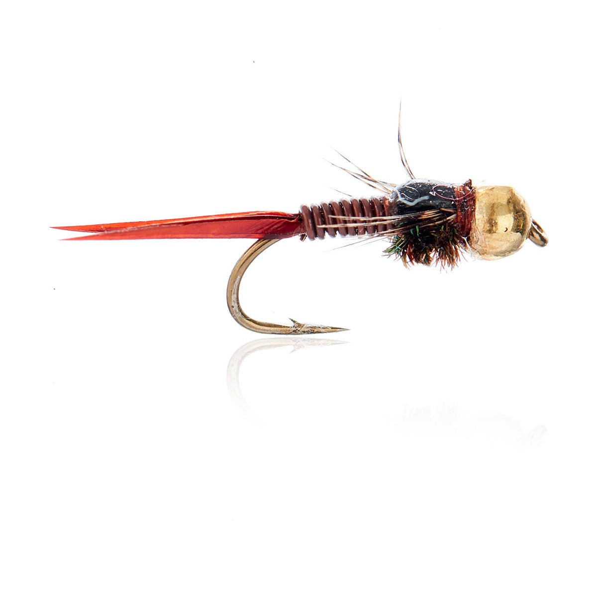 A.Jensen TUNGSTEN BEAD HEAD NYMPHS â€“ AJF_400313.jpg