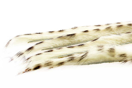Du tilføjede <b><u>3 mm Rabbit Barred Zonkerstrip - Cream</u></b> til kurven.