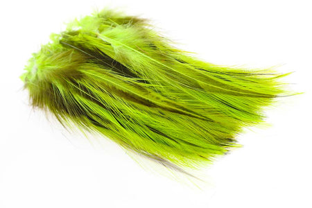 Du tilføjede <b><u>Hane Hackler Badger - Fl. Green</u></b> til kurven.