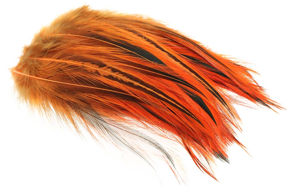 Hane Hackler Badger - Fl. Orange