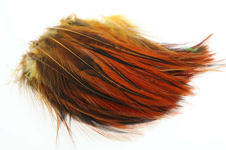 Du tilføjede <b><u>Hane Hackler Badger - Ginger</u></b> til kurven.
