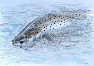 Thomas Weiergang original A3 - Foam Beetle Seatrout A3