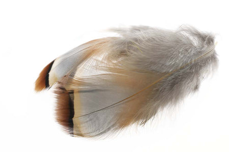 Du tilføjede <b><u>French Partridge - Natur</u></b> til kurven.