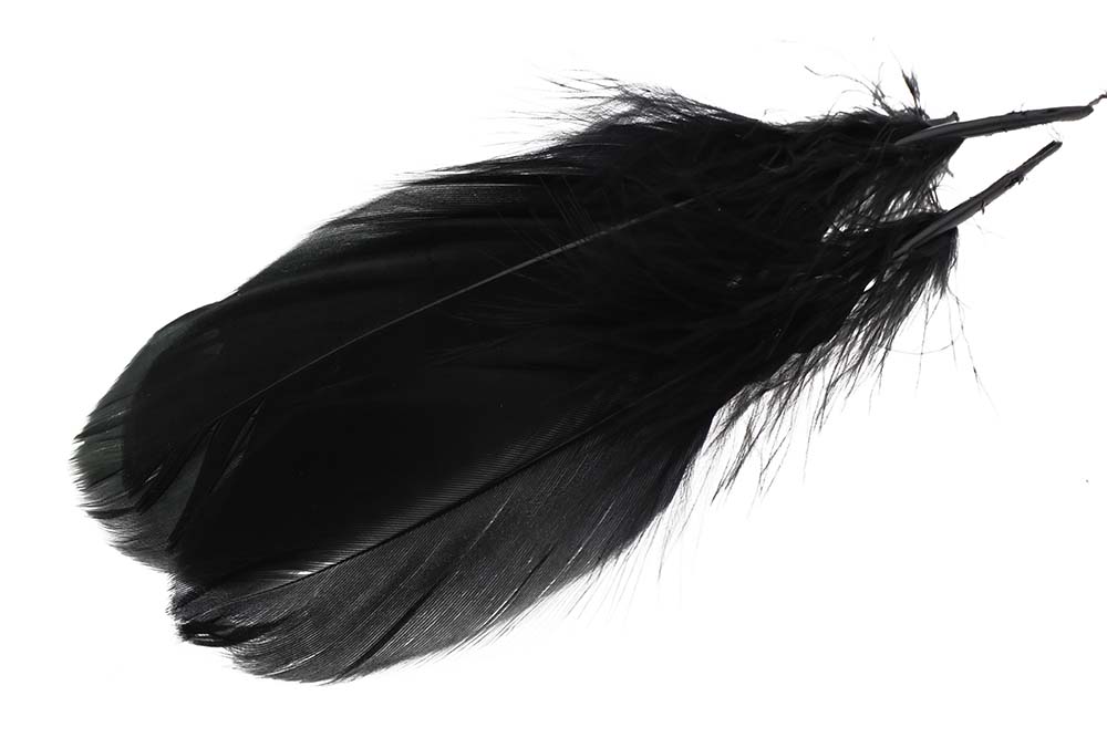 Gås Skulderfjer - Black
