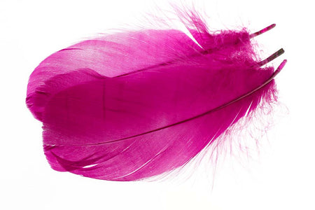 Du tilføjede <b><u>Gås skulderfjer - Magenta</u></b> til kurven.