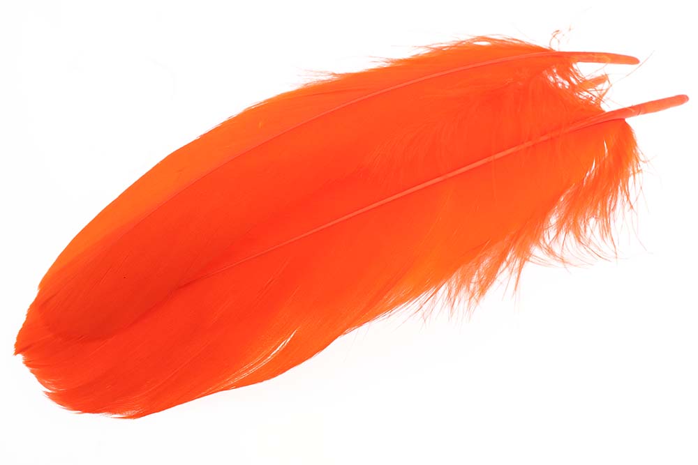 Gås skulderfjer - Orange