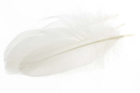 Du tilføjede <b><u>Gås Skulderfjer - White</u></b> til kurven.