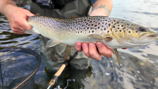 Du tilføjede <b><u>Mariager fjord pakken - efterår</u></b> til kurven.