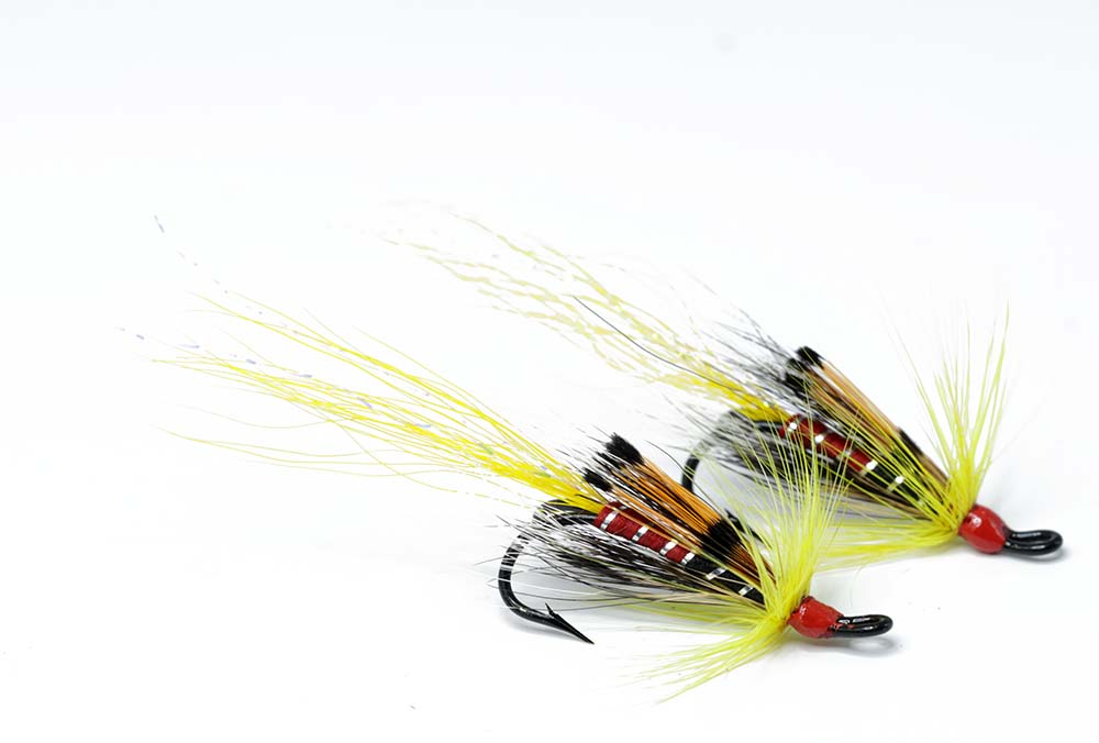 Allys shrimp - Yellow