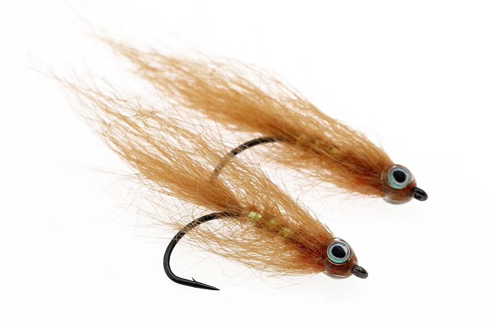 Stf baitfish