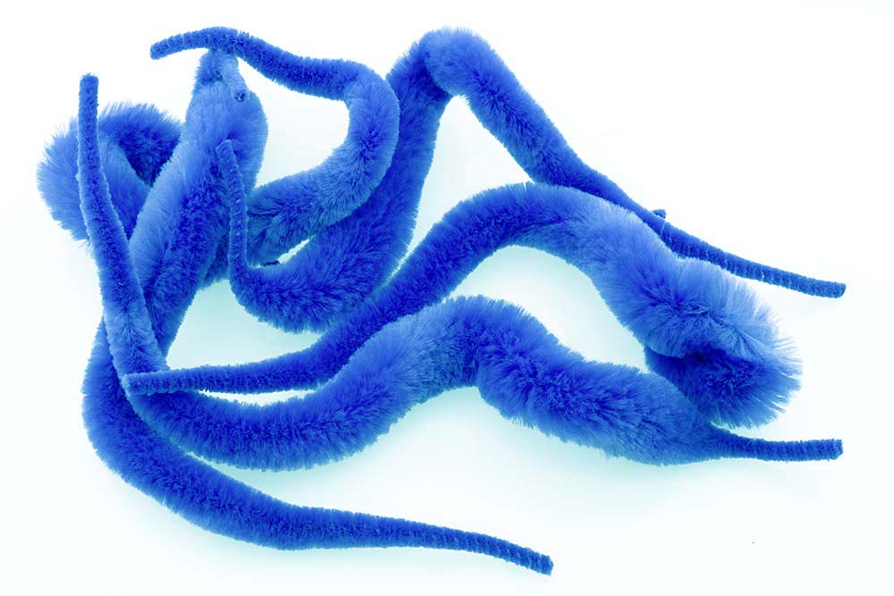 Mangum Dragon Tails - Royal Blue L