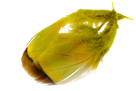 Du tilføjede <b><u>French Partridge - Golden Olive</u></b> til kurven.