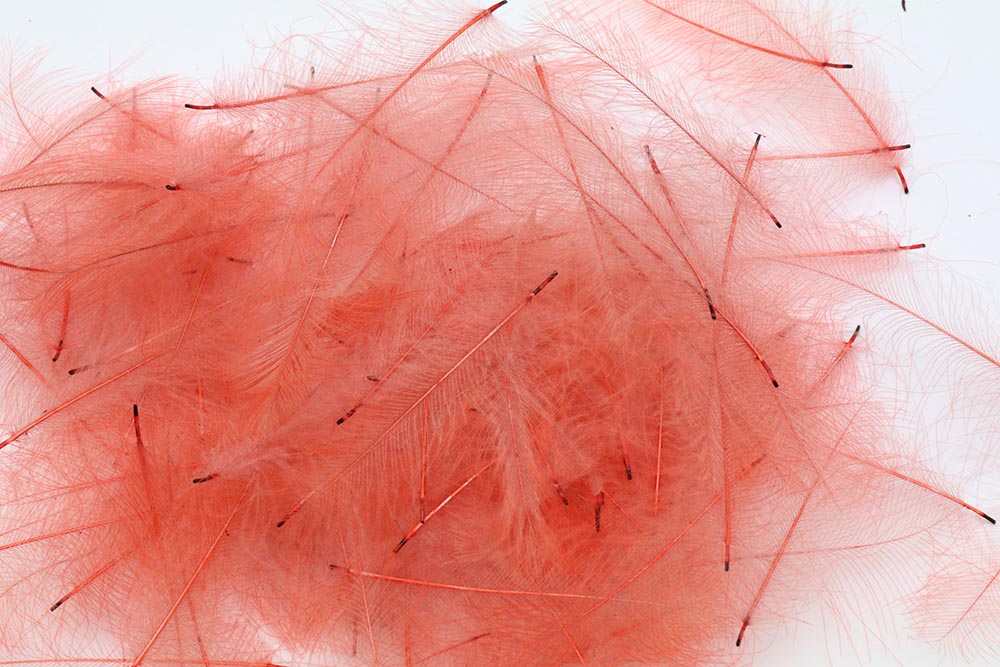 Petitjean Select Cdc 1 gram - Pink