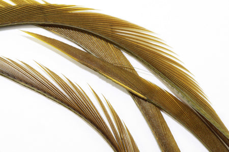 Du tilføjede <b><u>Goose Biots - Olive</u></b> til kurven.