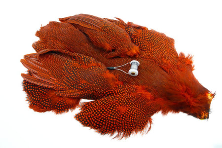 Du tilføjede <b><u>Whiting Perlehøne whole bird - Orange</u></b> til kurven.