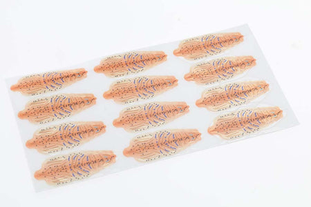 Du tilføjede <b><u>Flyco Shrimp shells - Peach</u></b> til kurven.