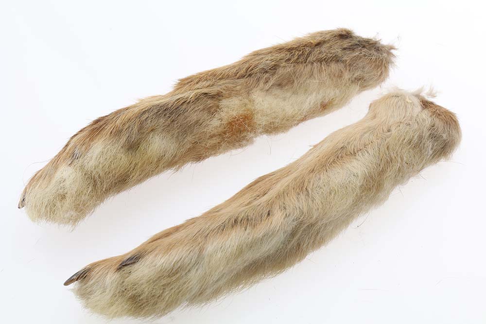 Hares Feet, Natural White