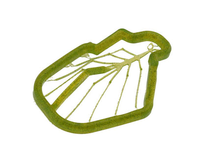 Du tilføjede <b><u>Easy Shrimp Legs 2.0: rejeben - Transparent Dirty Olive</u></b> til kurven.