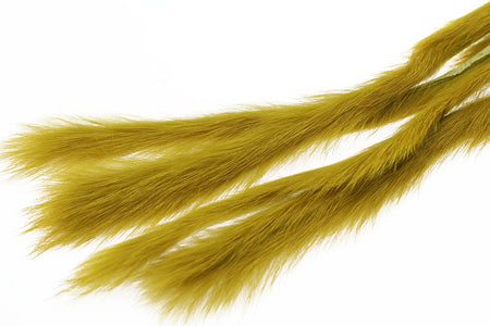 Du tilføjede <b><u>3 mm Rabbit Zonkerstrip - Golden Olive</u></b> til kurven.