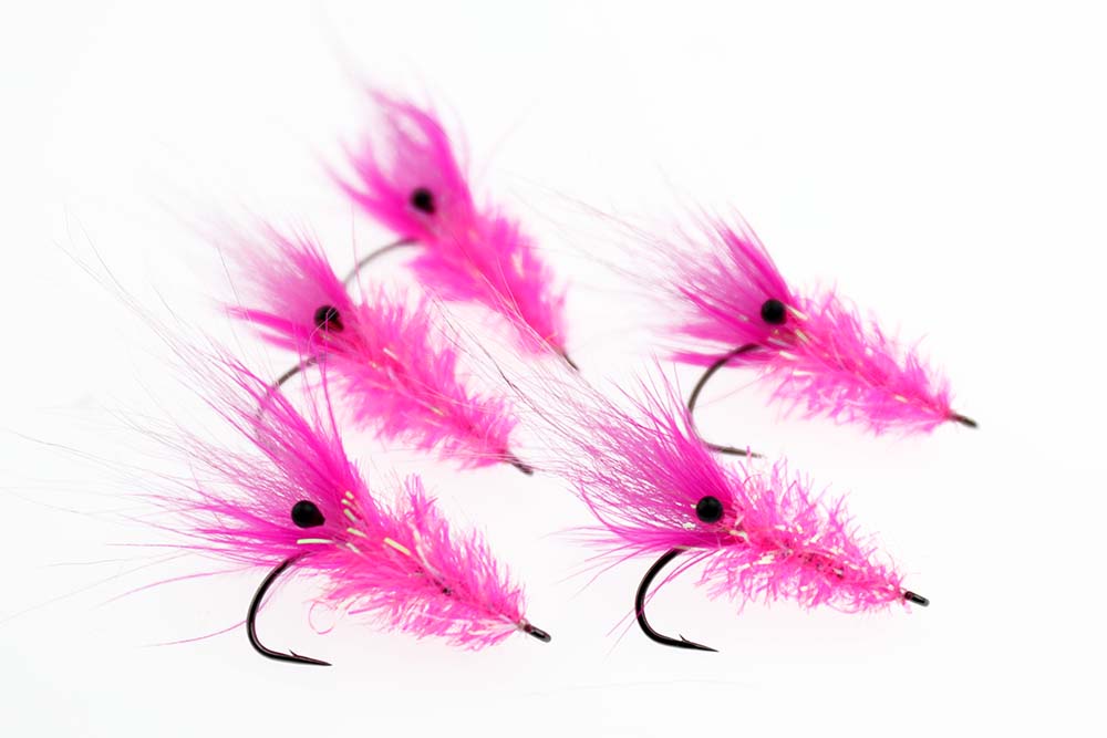 Cactus Chenille - Salmon Fl. Pink