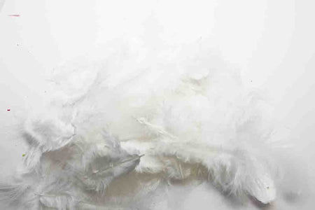Du tilføjede <b><u>Soft hackles - White</u></b> til kurven.