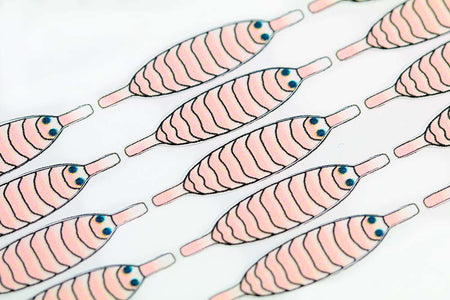 Du tilføjede <b><u>Pro Gammarus skjold - Shell Pink</u></b> til kurven.