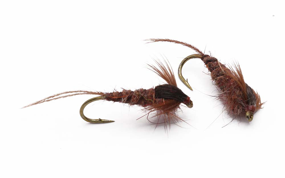 Hare Ears numph - Brown